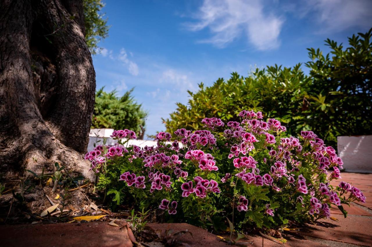 B&B Casabianca ปาลีนูโร ภายนอก รูปภาพ