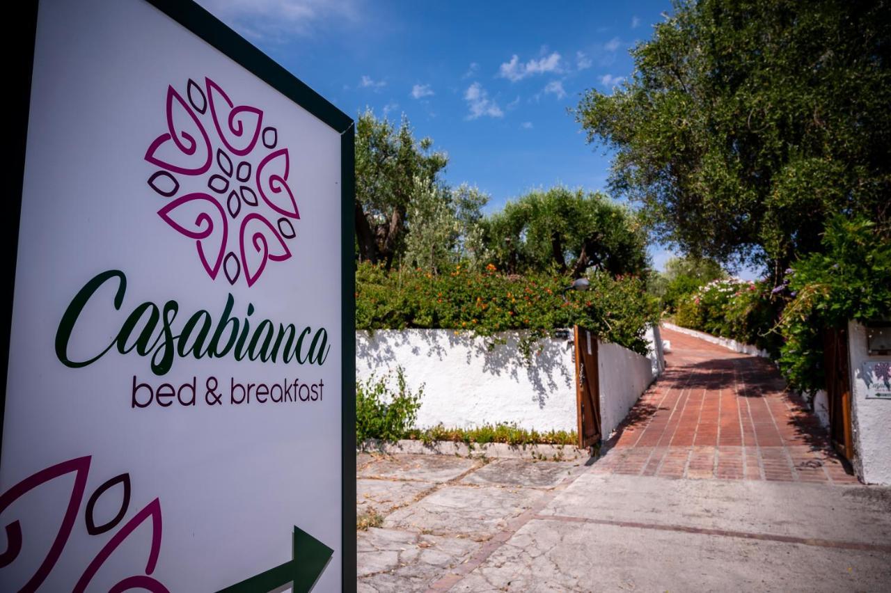 B&B Casabianca ปาลีนูโร ภายนอก รูปภาพ