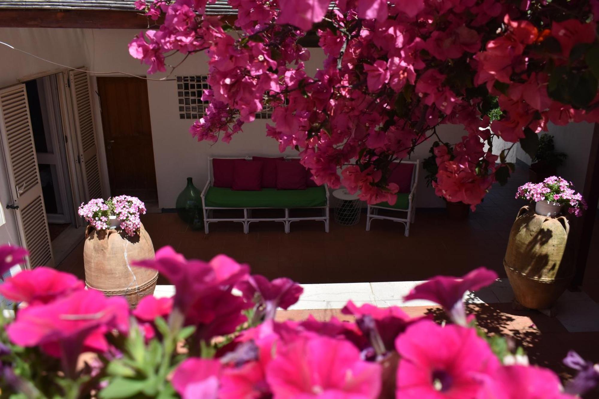 B&B Casabianca ปาลีนูโร ภายนอก รูปภาพ