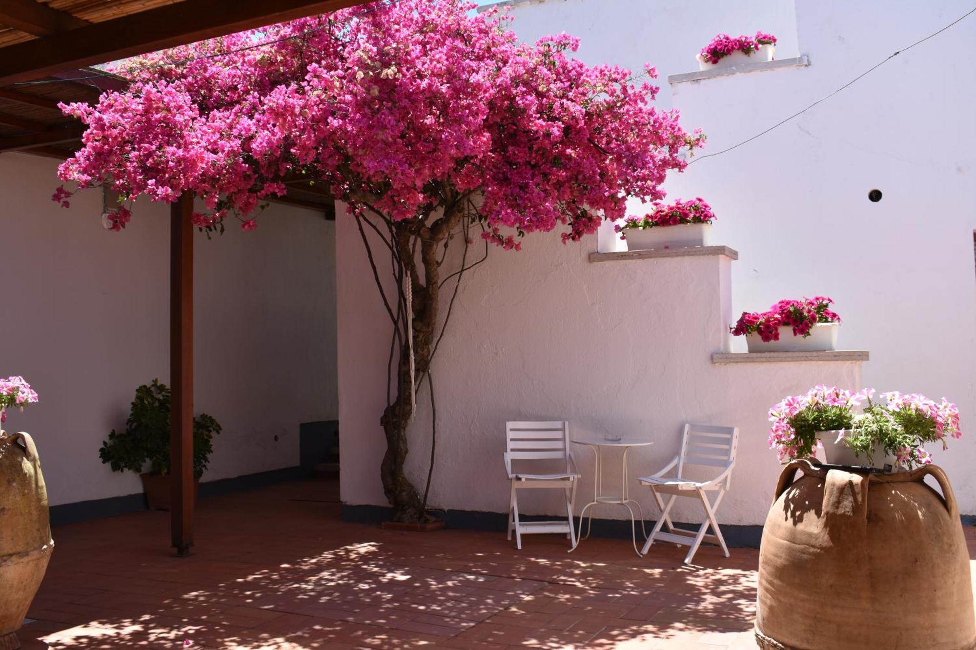 B&B Casabianca ปาลีนูโร ภายนอก รูปภาพ
